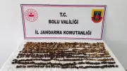 Bolu'da yasak salebe 3 kişiye 2 milyon TL ceza