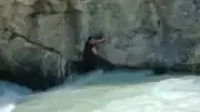 Ceyhan Nehri'nde Mahsur Kalan Adam Hayatını Kaybetti