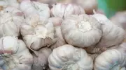 Dünyanın en iyi 17 sarımsağı seçildi! Taşköprü sarımsağı listede kaçıncı sırada?