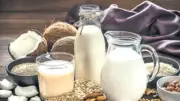 Hangi Bitkisel Süt En İyisi? Uzmanlar Yanıtlıyor