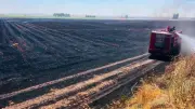 Harran'da 500 Dönümlük Tarlada Anız Yangını: İtfaiye Müdahale Etti