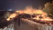 Hatay'da anız yangını zeytinliğe sıçradı: 200 dönüm zarar