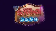 Çılgın Sayısal Loto 20 Haziran 2026 Sonuçları Açıklandı mı? Sorgulama Ekranı