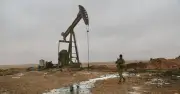OPEC'te Petrol Üretimi Mayıs'ta Geriledi, Küresel Talep Artışı Bekleniyor