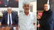 Sahipsiz Köpek Saldırıları: 2 Belediye Başkanına Soruşturma, 1'ine Ön İnceleme