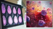 Sağlıklı yaşlanma için 4 unsur: Beslenme, sigara, egzersiz ve hormonlar