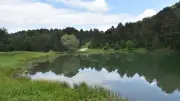 Sarıçam Ormanlarıyla Çevrili Limni Gölü Ziyaretçilerin Rotasında
