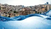 Sıfır Atık Hareketi'nin Çarpıcı Bilançosu: 613 Milyon Ağaç Kurtarıldı