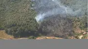 Son Dakika: Balıkesir Burhaniye'de Orman Yangınına Havadan ve Karadan Müdahale