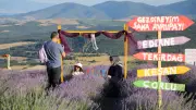 Tekirdağ'ın Lavanta Bahçeleri Ziyaretçilerini Ağırlıyor