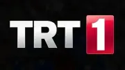TRT 1 Sinyal Yok Hatası Çözümü: Güncel Frekans ve Şifreli Yayın