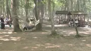 Yılan, akrep ve kene ısırmalarında bu hatalar öldürüyor