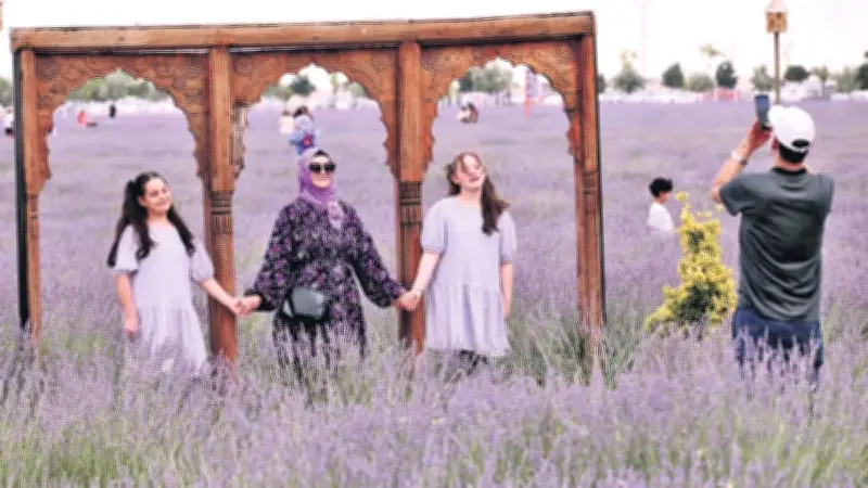 Konya'da 5. Lavanta Festivali Coşkusu: Binlerce Ziyaretçi Mor Bahçelerde Buluştu