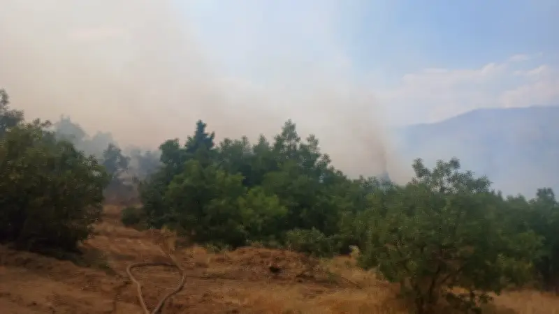 Malatya Pütürge'de Orman Yangını: Ekiplerin Müdahalesi Sürüyor