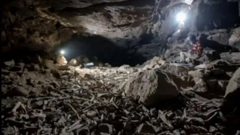 Malatya'da 1250 Rakımdaki Mağarada İnsan Kemikleri Bulundu