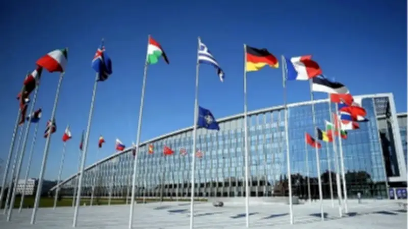 NATO Üyesi Ülkeler 2026 Güncel Listesi: Fransa, Rusya, Ukrayna, Japonya, Güney Kore Üye mi?