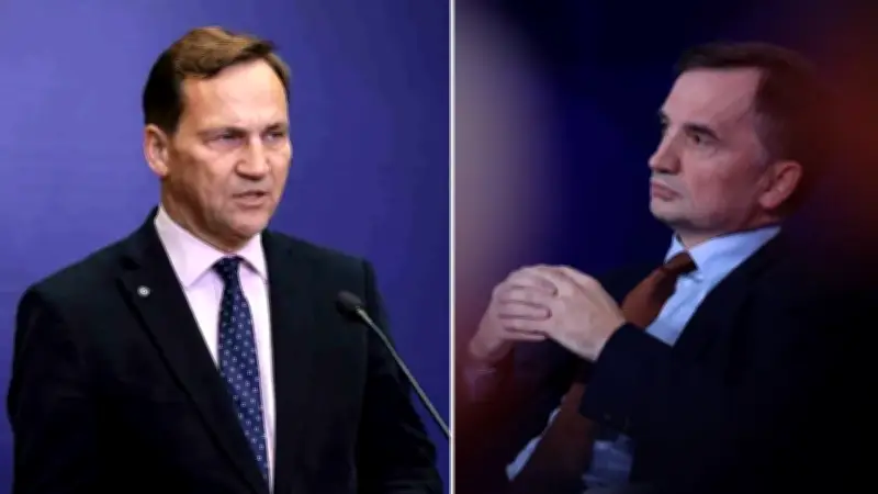 Polonya: Macaristan, Ziobro ve Romanowski'nin mülteci statüsünü iptal etti