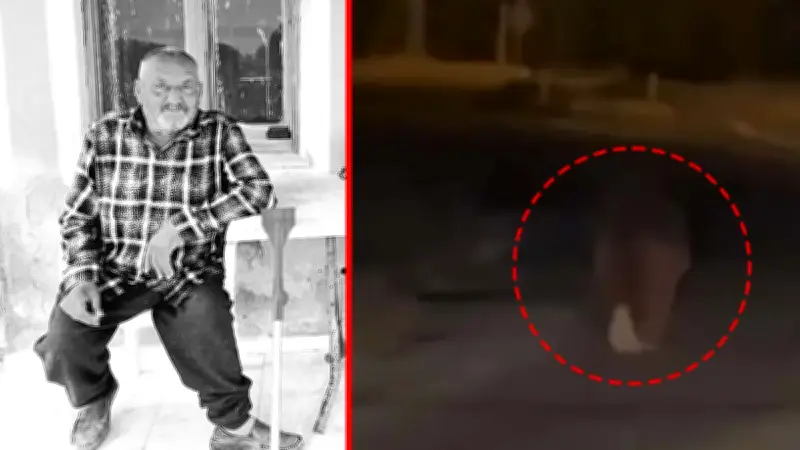 İzmir'de Ayı Dehşeti: Balkonda Uyuyan Adamı 20 Metre Sürükledi, Hayatını Kaybetti