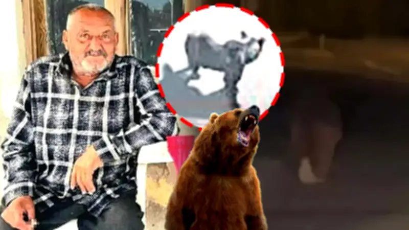 İzmir'de Kanepede Uyurken Ayı Saldırısına Uğrayan Osman Güntaş Hayatını Kaybetti