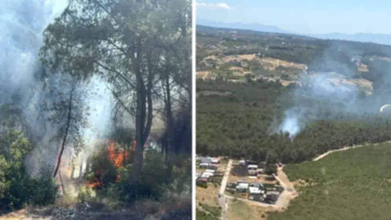 İzmir'deki orman yangınlarında ihmal şüphesi: 2 gözaltı