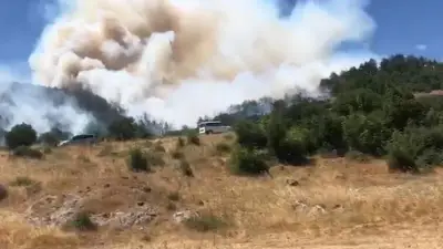 Balıkesir'in Kepsut ilçesinde orman yangını: Havadan ve karadan müdahale sürüyor