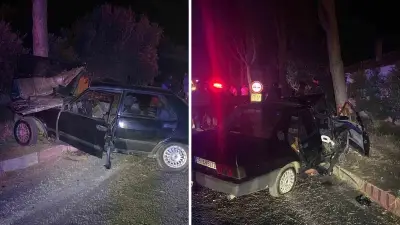 Ödemiş'te Aniden Yola Çıkan Köpek Kazaya Neden Oldu: 1 Ağır Yaralı