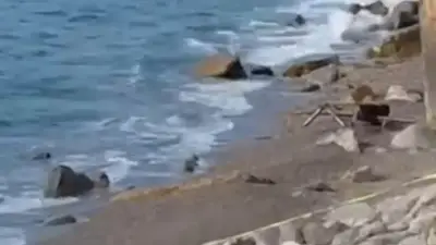 Filyos Sahiline Askeri Amaçlı İHA Vurdu, İnceleme Başlatıldı