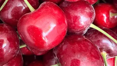 Kastamonu'da kiraz yedikten sonra hayatını kaybeden çiftten biri öldü