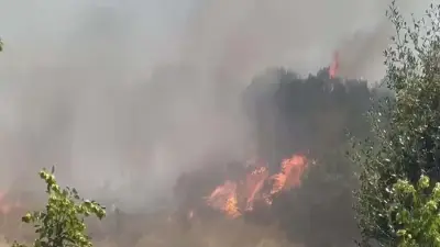 Son Dakika: Çanakkale Ayvacık'ta orman yangını! Havadan ve karadan müdahale sürüyor