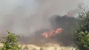Çanakkale'nin Ayvacık İlçesinde Orman Yangını: Havadan ve Karadan Müdahale Sürüyor