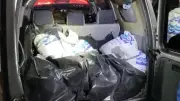 Samsun'da kaçak avlanan 150 kg midye ele geçirildi, sürücüye 47 bin lira ceza